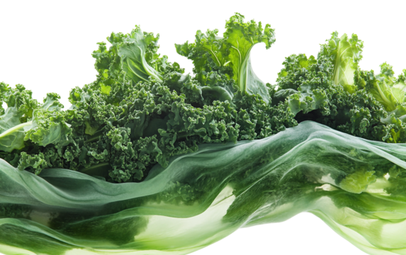 Collard greens flowing smoothly into a vivid silk river in an artistic natural fusion isolated on transparent background PNG