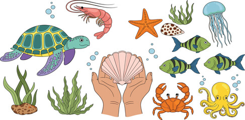 Underwater world. Vector modern abstract illustration of summer, sea, ocean, shell, turtle, crab, jellyfish, fish, shrimp, octopus, starfish, seaweed for icon set, elements or objects