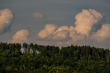 Overcast sky with layered clouds above a silhouetted distant forest treeline, moody and atmospheric...