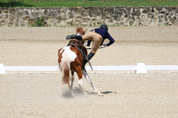 Rider falling off Horse in Competition Arena	