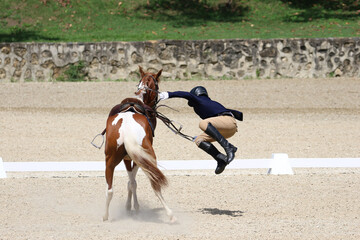 Rider falling off Horse in Competition Arena