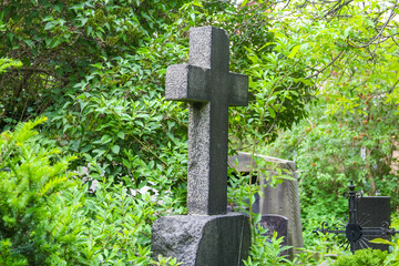 Stone cross monument surrounded by dense green foliage in cemetery or memorial garden