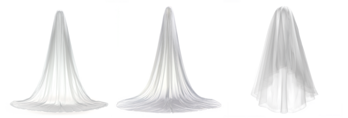 Front view of sheer cathedral-length bridal veil with soft iridescent sheen, transparent background, ideal for wedding fashion design, bridal mockups, and luxury event visuals