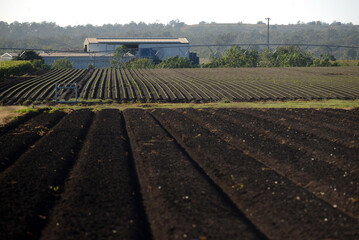 Paddock ready for the next crop at Gatton