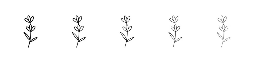 Lavender icon graphic set. trendy stroke line style
