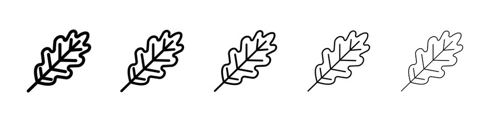 Oak Leaf icon graphic set. trendy stroke line style