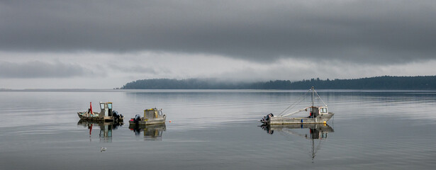 anchored oyster boats in overcast weather