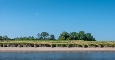 trees and eroding sand bank along river