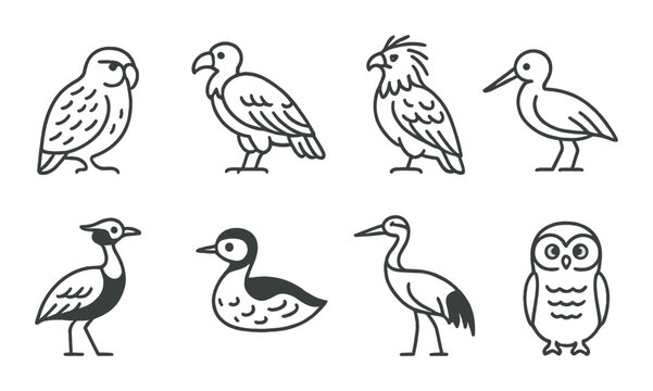 Bird linear icon set: avian, wildlife, nature symbols in simple design