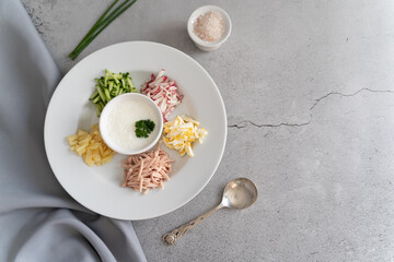 Ready to serve tasty okroshka on light gray background