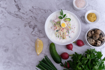 Ready to serve tasty okroshka on light gray background
