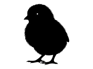 baby chicken isolated on white © Ninjackz