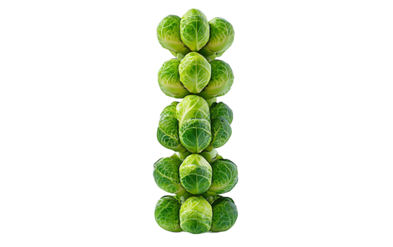 Brussels sprouts creatively arranged in a modern futuristic geometric structure isolated on transparent background PNG