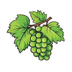 Fototapeta premium Vector Illustration of Grape Plant Leaf Nature Icon for Design Projects