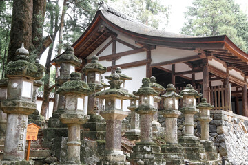 Stone lanterns near Kasuga Taisha Shrine, Nara park in Japan.