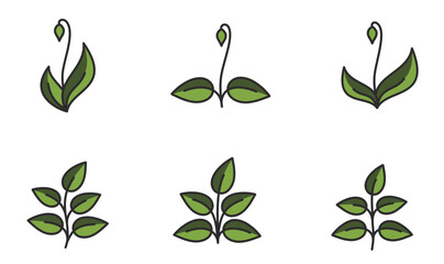 Set of spring plants illustrations in green colors. Floral, planting and nature design elements. Isolated vector images