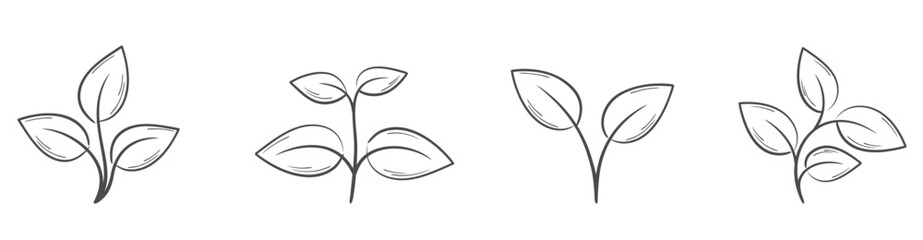 Plant line illustrations. Nature, planting and botany design element. Isolated vector image