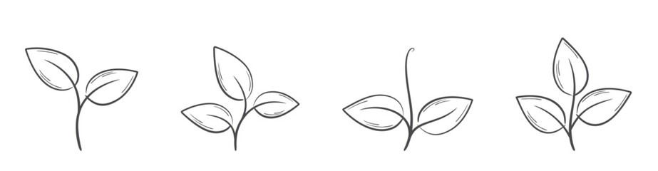 Sprouted plant line illustrations. Nature, gardening and planting design elements. Isolated vector images