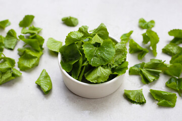 Gotu kola, fresh green leaves
