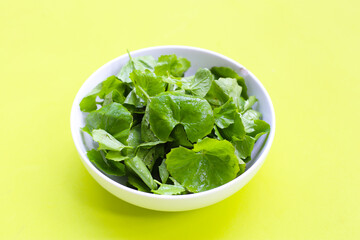 Gotu kola, fresh green leaves