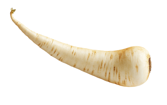 Floating parsnip bending gracefully in a whimsical imaginative style with vibrant colors and surreal atmosphere isolated on transparent background PNG