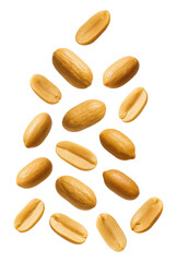 Obraz premium Deliciously Nutty Raw and Roasted Peanuts in Various Positions Showcasing Their Unique Shapes and Textures Isolated on Transparent and White Background
