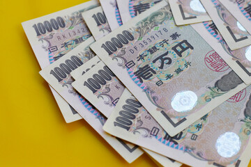 Ten Thousand Yen Bills, Japanese Yen Notes