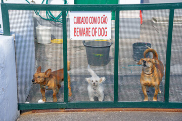 Cartoon image of information panel beware of the dog. Inside the property there are 3 small...