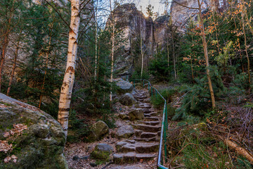 Scenic forest pathway with stone steps leading through lush trees and rocky landscape