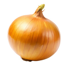 A Single Yellow Onion