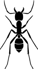 ant silhouette vector illustration, isolated on white