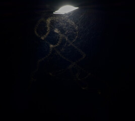 Night photo of a street light attracting insects, creating a light trail effect.