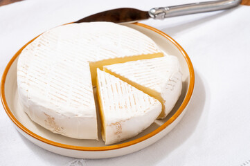 French soft cheeses collection, creamy cow's milk cheese roudou with white mold, France