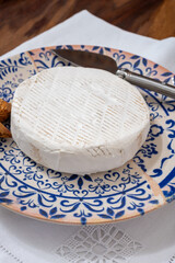 French soft cheeses collection, creamy cow's milk cheese roudou with white mold, France