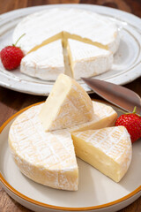 French soft cheeses collection, creamy cow's milk cheese le paysan and brie with white mold, France