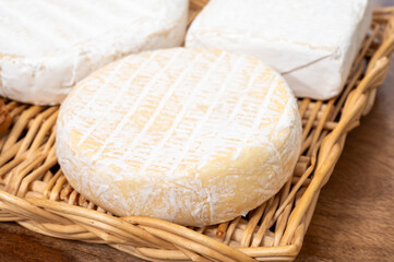 French soft cheeses collection, creamy cow's milk cheeses with white mold, France