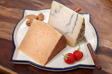 Two pieces of Spanish hard cheese, cow and sheep curado, manchego, goat cheese with added black...