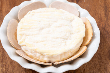 French cheeses collection, Saint-Felicien cow's milk cheese with white mold from Rhone-Alpes region of France