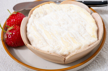 French cheeses collection, Saint-Felicien cow's milk cheese with white mold from Rhone-Alpes region of France