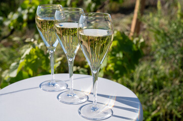 Pouring and tasting of dry sparkling wine brut, grand reserve, champagne in Ay-Champagne on green hilly vineyards in old wine making village in Vallee de la Marne, Champagne region, France