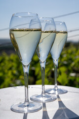 Pouring and tasting of dry sparkling wine brut, grand reserve, champagne in Ay-Champagne on green hilly vineyards in old wine making village in Vallee de la Marne, Champagne region, France
