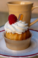 French cuisine, fresh baked baba au rum cake with chantilly cream, sweet dessert with rum close up