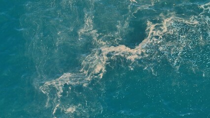 Captured from above, the water’s surface is speckled with plastic waste, symbolizing the widespread issue of marine litter affecting oceans worldwide.
