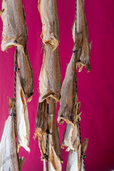 Dtied on air or salted stock fish on sea promenade in Oostende, Belgium