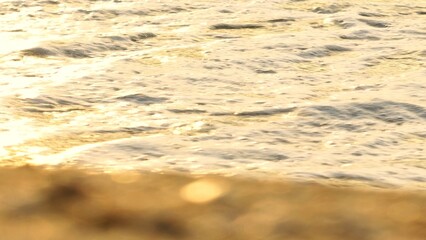 A peaceful shot of foam-covered ocean waves meeting the shoreline, with soft golden light reflecting off the water. Ideal for showcasing nature, coastal life, and relaxation themes.
