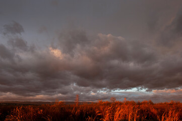 Fototapeta premium Natural beautiful clouds at dawn. Dramatic colorful red-orange to dark gray sky with clouds at sunset or dawn.