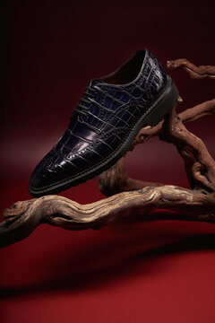 Stylish black leather shoe displayed on artistic wood