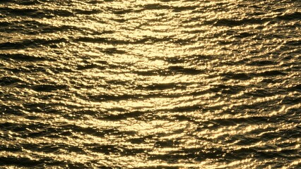 As the wind influences the waves, the sunlight turns the water into a golden shimmer, capturing the...