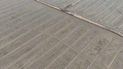 Fototapeta premium Aerial view of a rice field being meticulously prepared for planting, with distinct rows etched into the wet soil, marking the beginning of the growing season. Thailand. 
