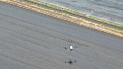 In a display of eco-friendly farming, a drone scatters rice seeds across large fields. This sustainable technology reduces labor and optimizes seed distribution for future-ready agriculture.
